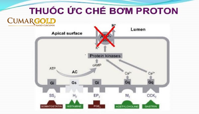 Phương pháp điều trị bằng thuốc ức chế bơm Proton